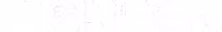 PIONEER_whitelog.png.avif