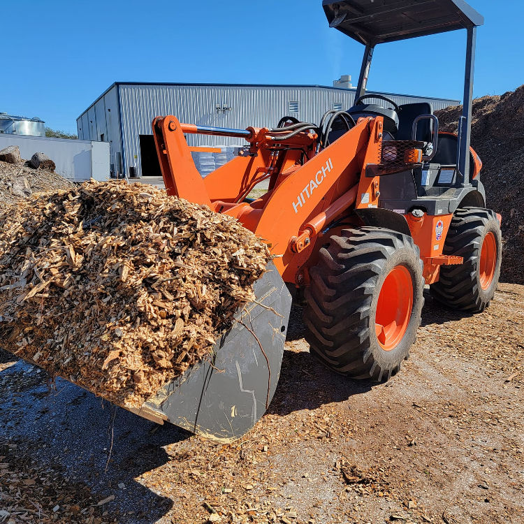 Tree Services in Hernando, and Citrus County, Florida