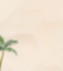 material bg_edited.jpg