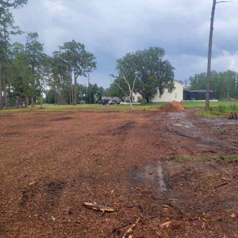 Mikey's Tree Service Spring Hill, Florida, Hernando County, FL, Hudson, FL ,Citrus County, FL, Pasco County, FL