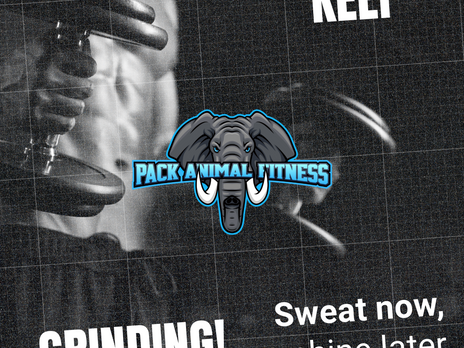 Unlock Your Potential: How Joining Pack Animal Fitness in St. Petersburg Will Revolutionize Your Fitness Journey