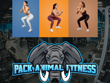 Unleash Your Inner Strength: Everyday Movement Exercises with Pack Animal Fitness in St Petersburg, Florida