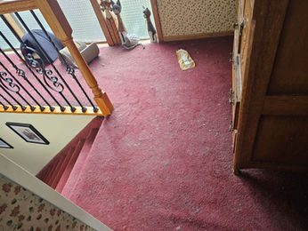 Dusty red carpet needs cleaning