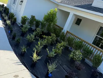 Newly landscaped garden bed at a white house