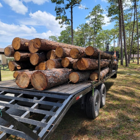 Mikey's Tree Service Spring Hill, Florida, Hernando County, FL, Hudson, FL ,Citrus County, FL, Pasco County, FL
