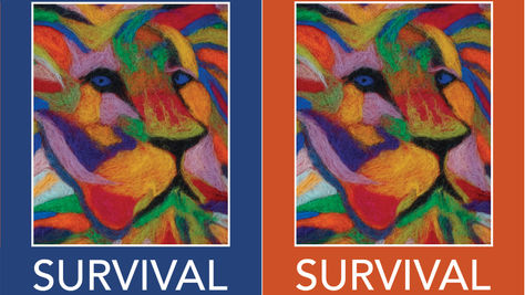 SURVIVAL Anthologies Available to Pre-Order