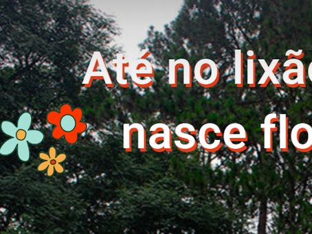 Agência Mural: Até no lixão nasce flor