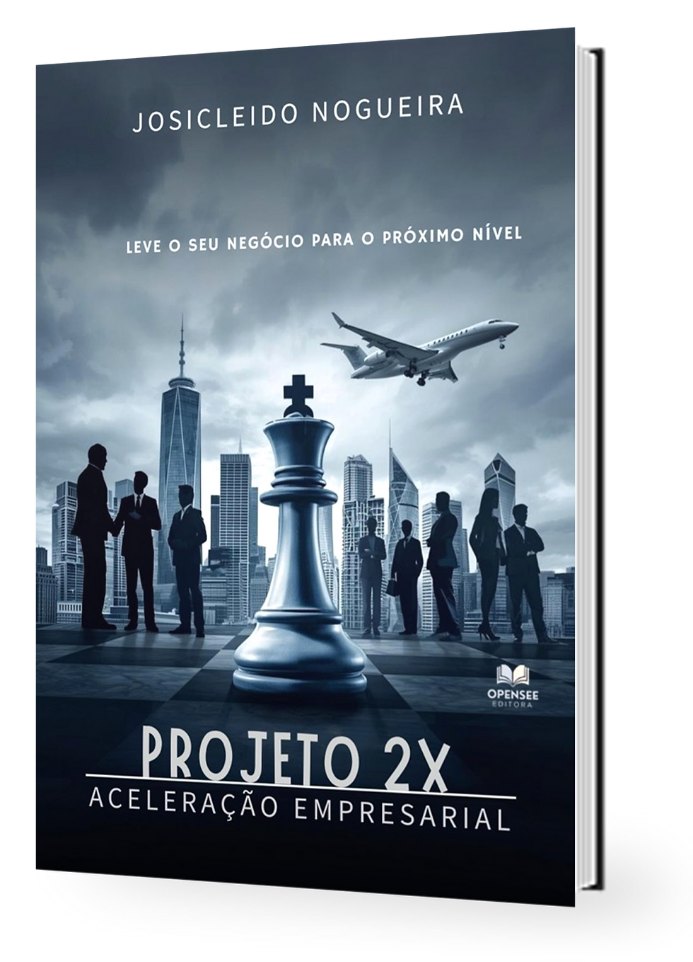 Miniatura: Projeto 2 X: Aceleração Empresarial