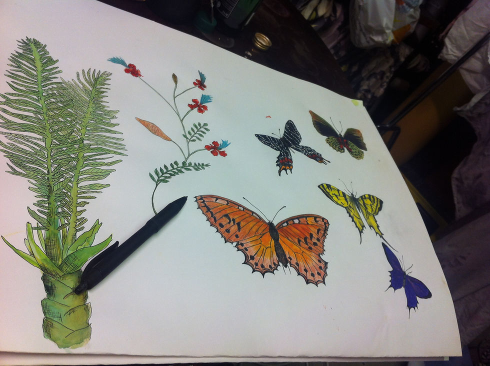Butterflies & Palm