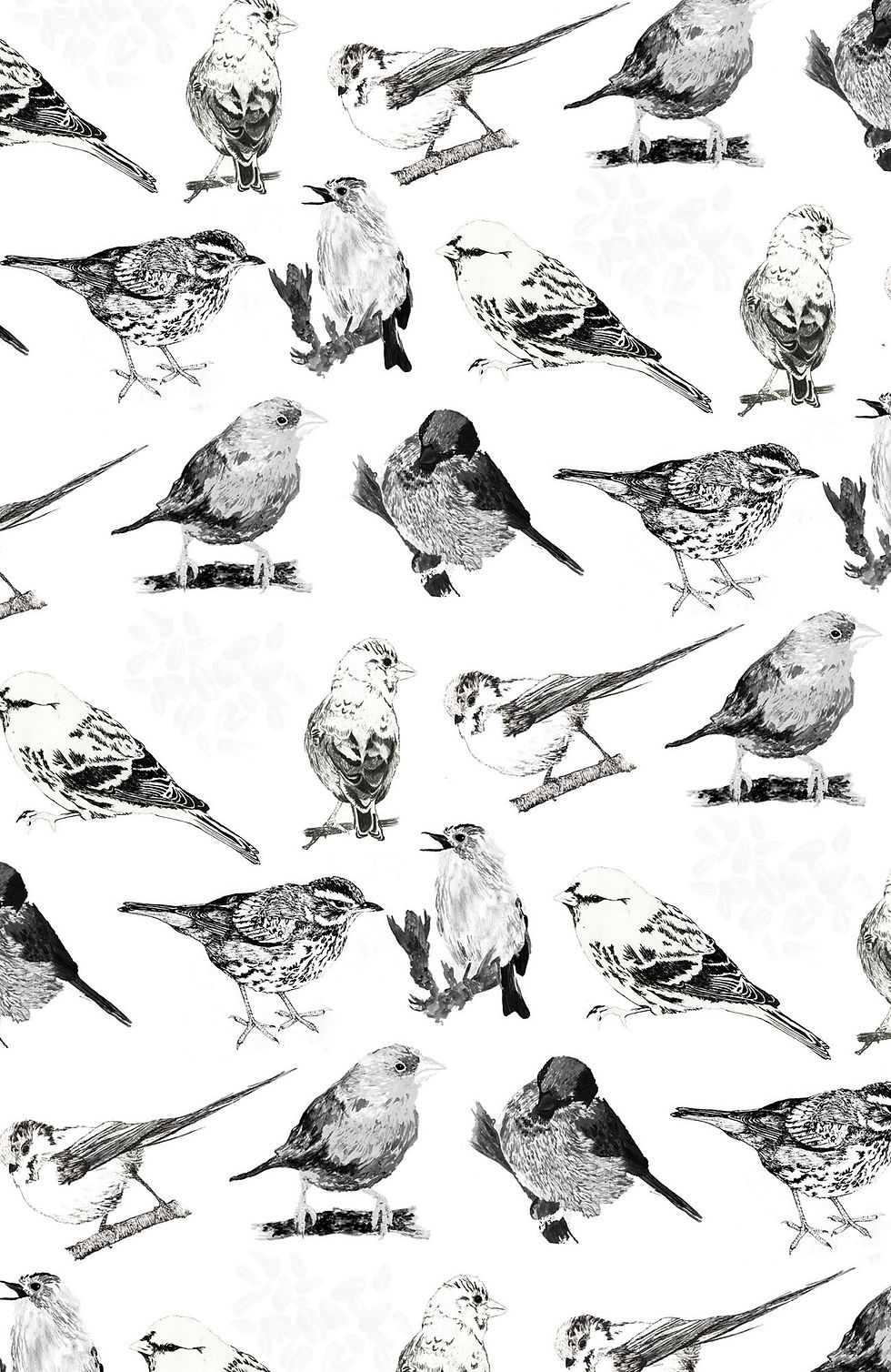 Monochrome Garden Birds