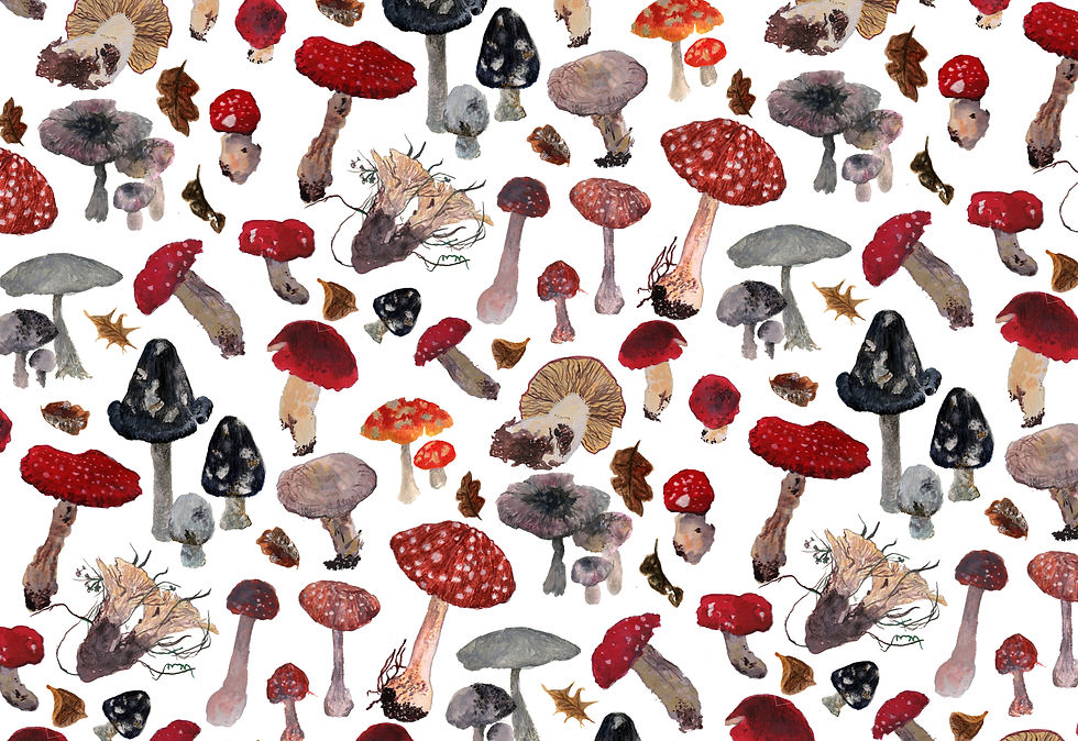 Feeling funghi