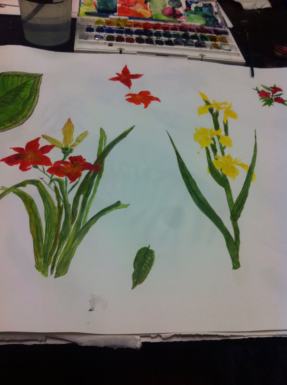 Rainforest Flora