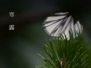 秋分 ~ 寒露