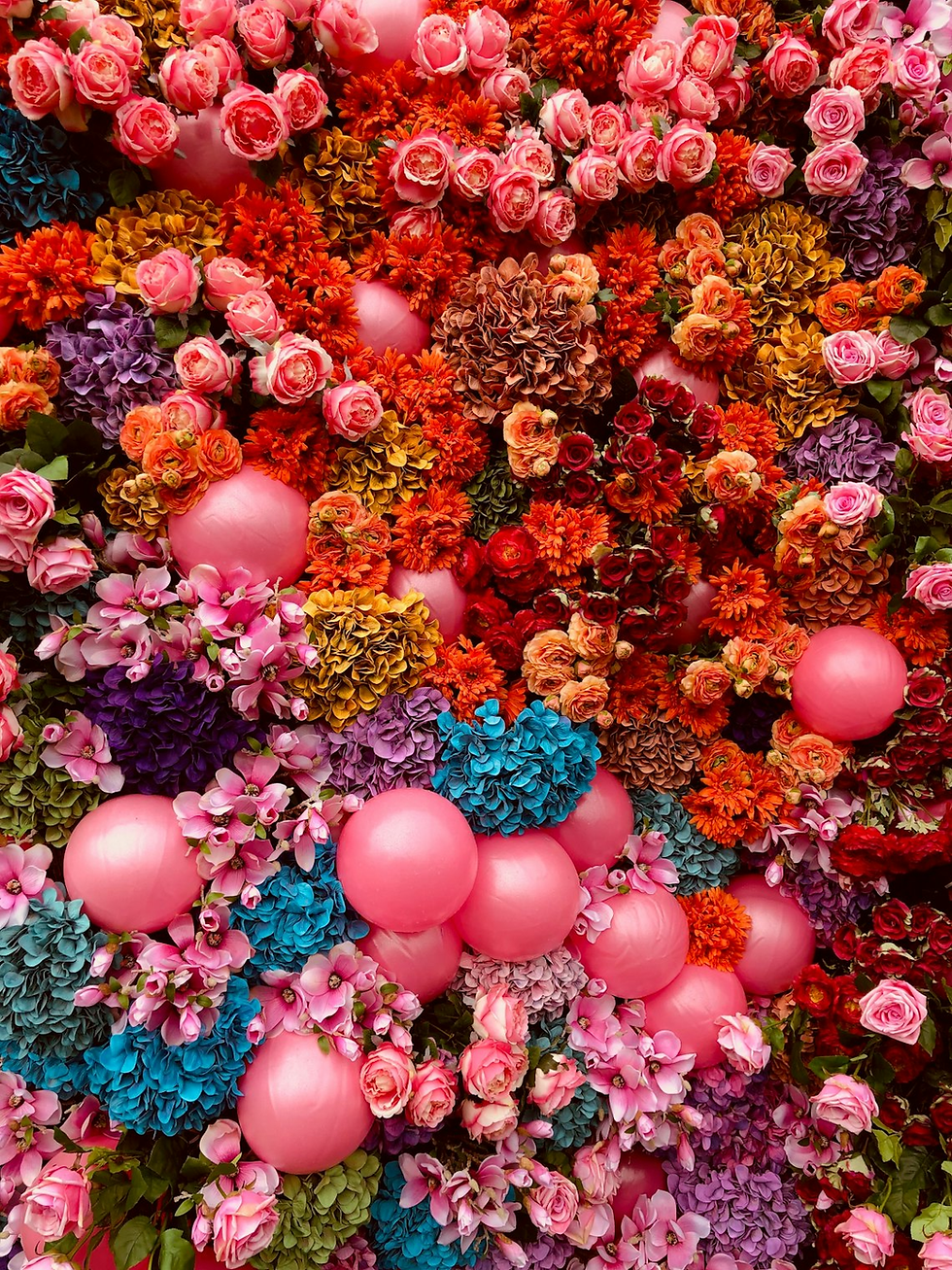 Photo by Susn Matthiessen / Unsplash