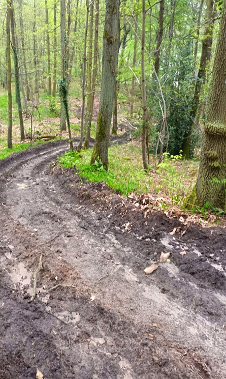 Sol sensible au tassement Forêt de Verrières.jpg