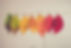 canvas.jpg