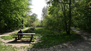Table de pique-nique - Les 3 mares Forêt de verrières