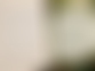 La biodiversité disparue du Bois de Verrières : le témoignage de Lucien Jean