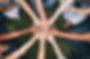 540745499_834940355531927_8408585095473766966_n.jpg