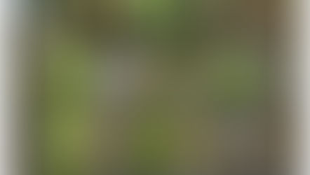 Sorte ornithologique avec les Amis du Bois de Verrières