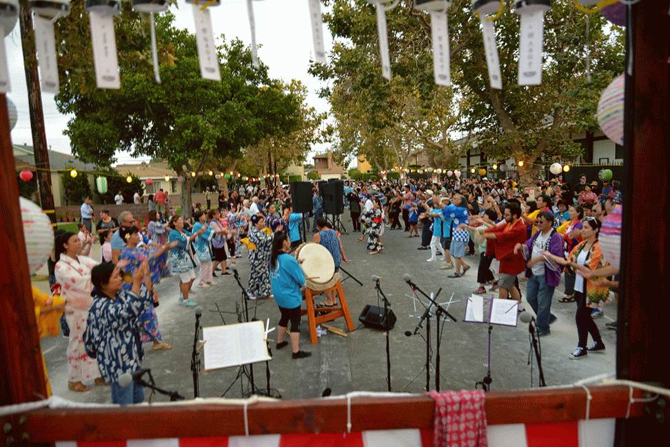 DSC_7793-ANIMATION.gif