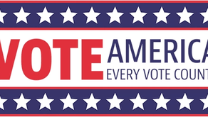 Voting is a privilege