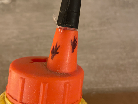 Dag 3. Advent met Leopold