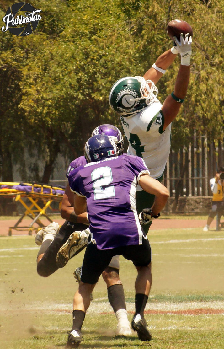 DINOS CAMPEON DE LA DIVISION UNDER ARMOUR
