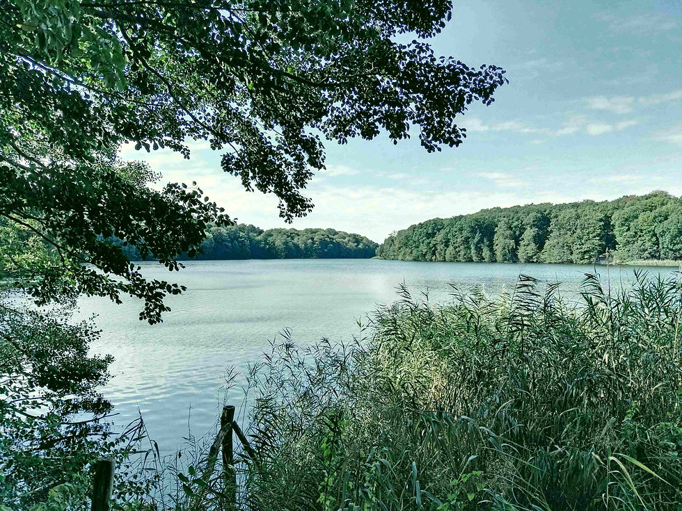 Mitten in der Stadt, umgeben von viel Grün und herrlicher Natur - der Schlachtensee
