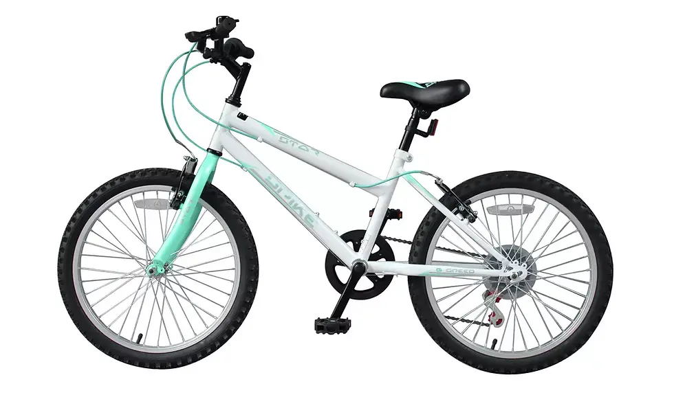 Spike 20 inch Wheel Size Kids Mountain Bike - White