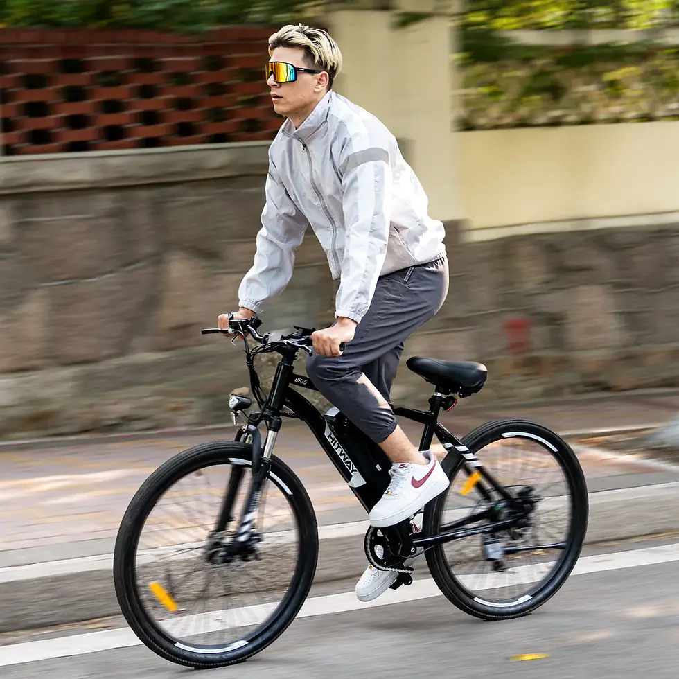 Thumbnail: BK15 Electric Bike
