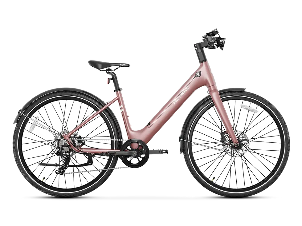 Thumbnail: EC 1-ST Commuter Ebike