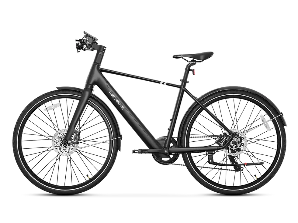 Thumbnail: EC 1 Commuter Ebike