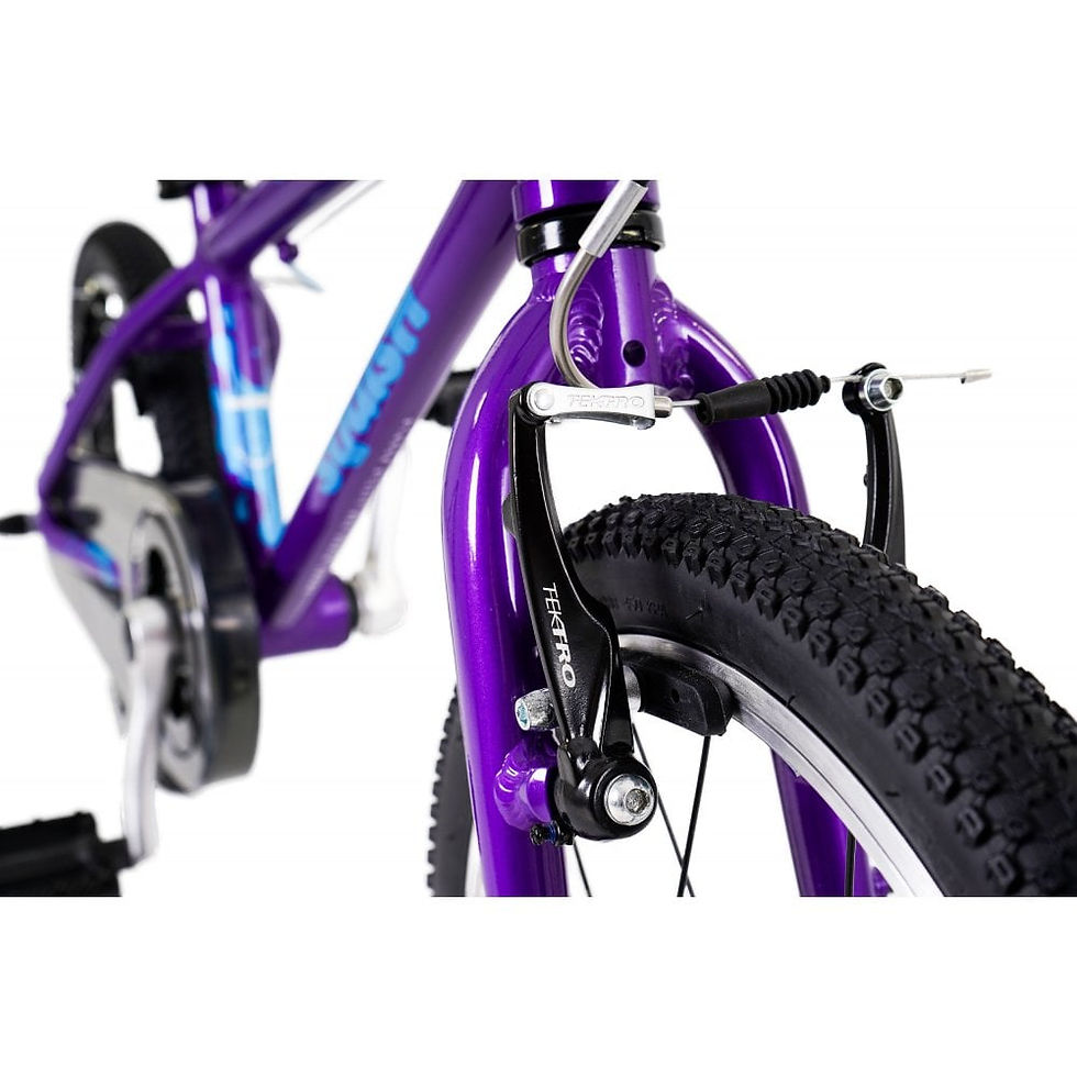 Thumbnail: Squish 16 Kids Bike Code: 6423W16
