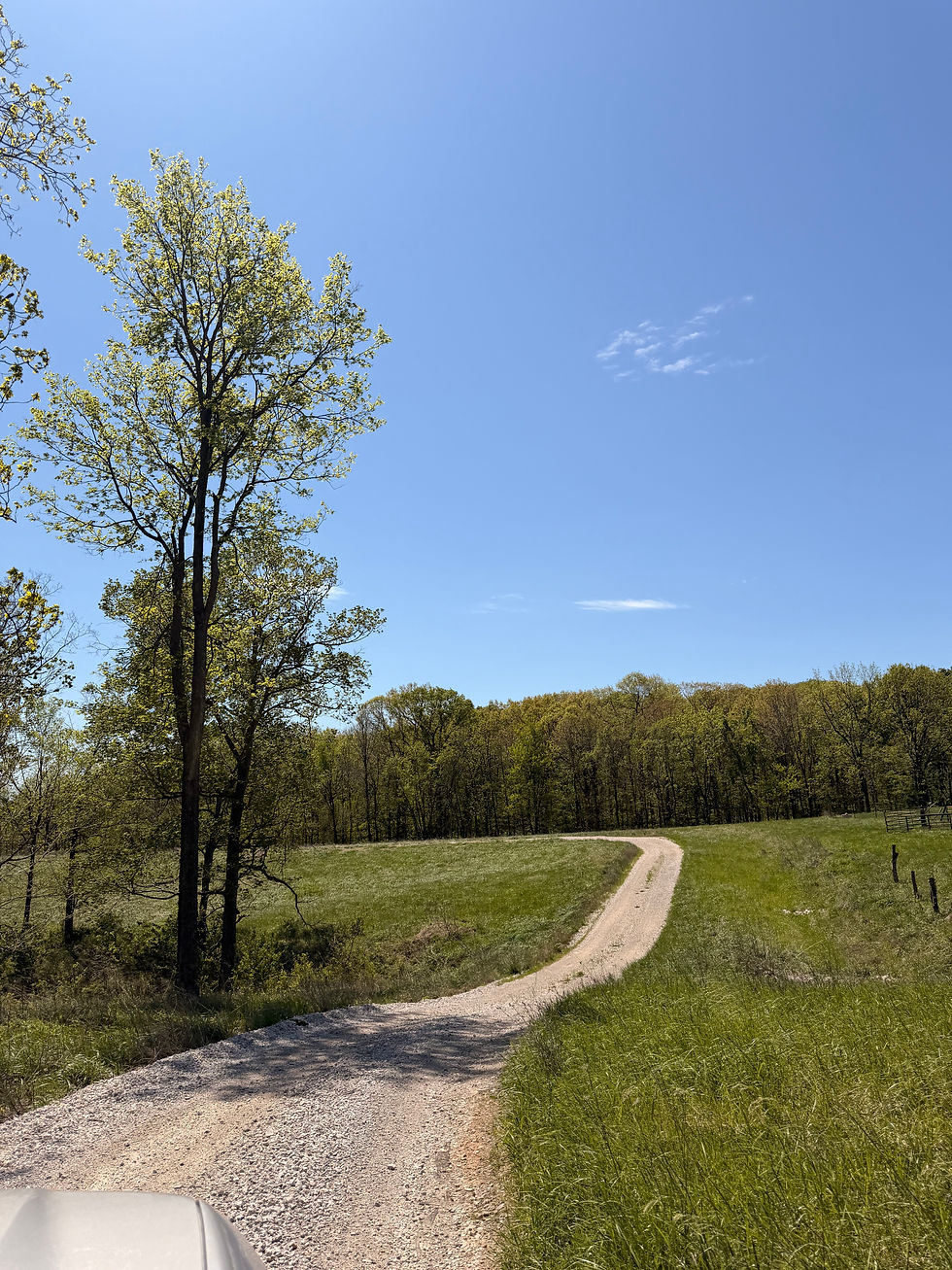 gravel road countryside