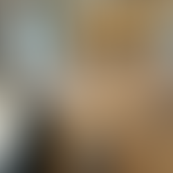 faux wood flooring bare