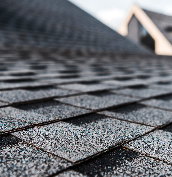 new-roof-1920x1200.jpg