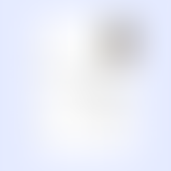 Simple Professional College Resume