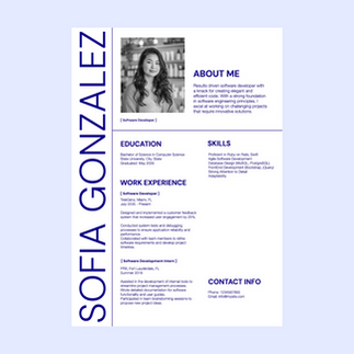 Sleek Geometric Simple Resume
