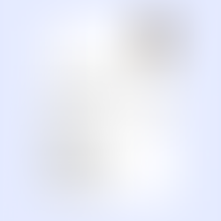 Elegant Clean Simple Resume