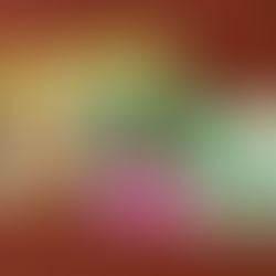 How to make a fashion website to suit your brand