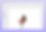 Remove background with Wixel