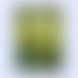 wixel save the date template with water brush calligraphy font