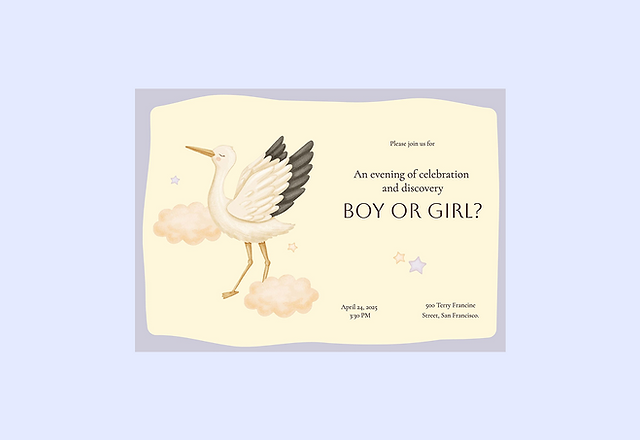 Modern Illustrative Gender Reveal Invitation
