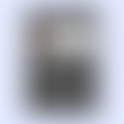 Professional Geometric Modern Resume