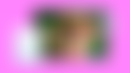 what is the wixel photo editor