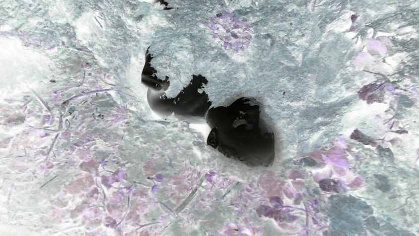 Séquence 02.00_02_16_14.Still001.jpg