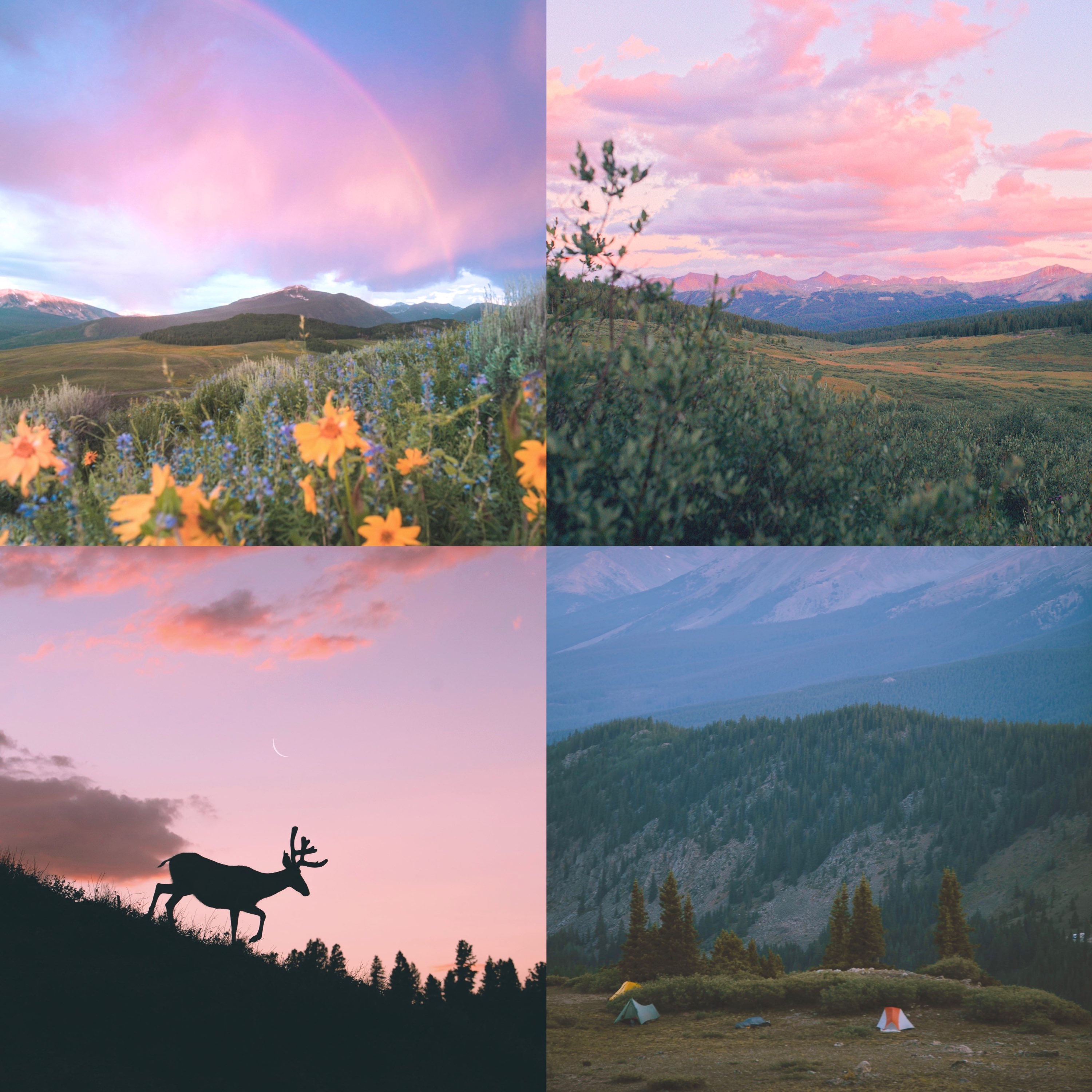 Set of 4 Prints (Colorado)