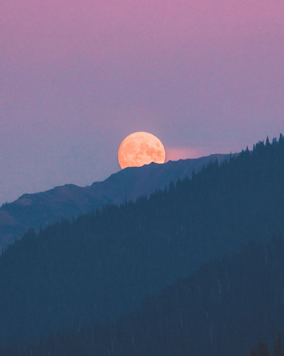 Thumbnail: Set of 4 Prints (The Moon)