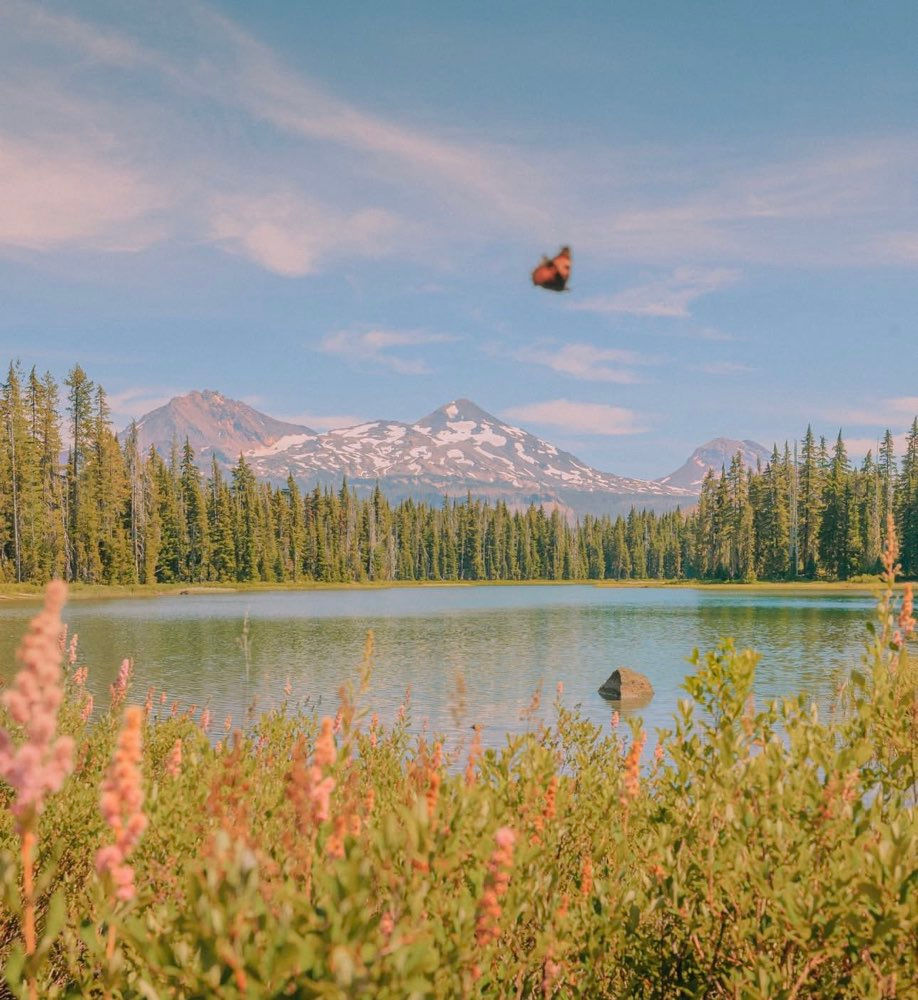 'Cascade Summers' Print